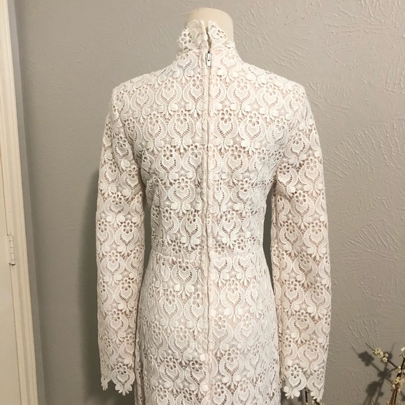 ASOS Arrogant Cat Ivory Lace Midi Dress sz 10 - Picture 4 of 11